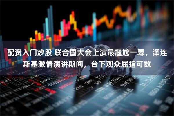 配资入门炒股 联合国大会上演最尴尬一幕，泽连斯基激情演讲期间，台下观众屈指可数